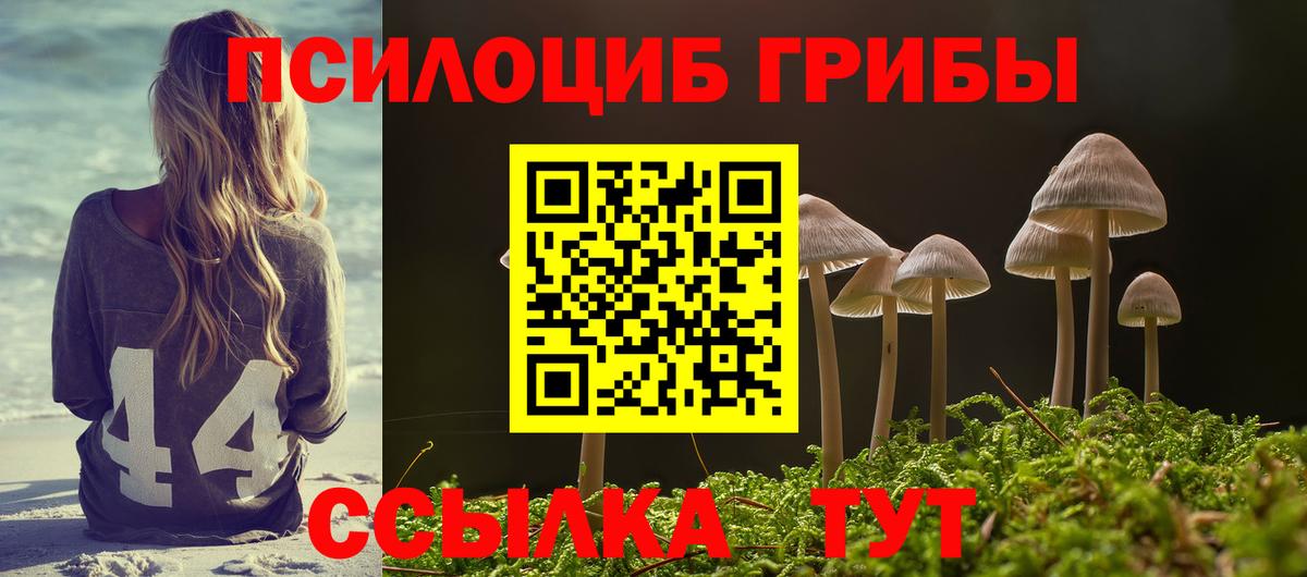 наркошоп  Галлюциногенные грибы Psilocybe  Вход с VPN  Кирово-Чепецк 